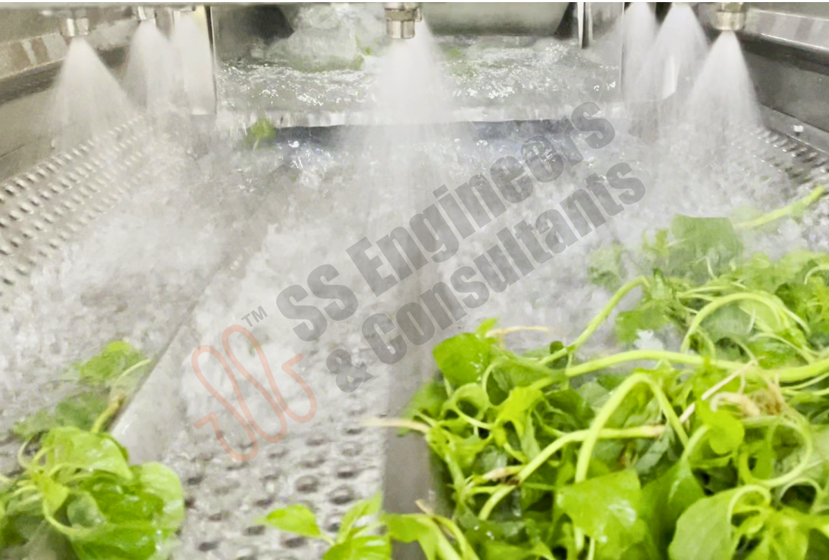 Leafy Green Vegetable Washing Line